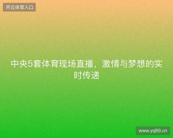 中央5套体育现场直播，激情与梦想的实时传递